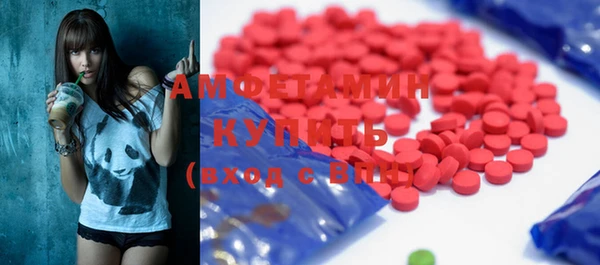индика Новодвинск