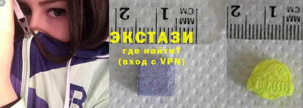 прущие грибы Новозыбков