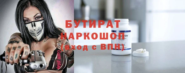 индика Новодвинск