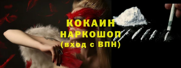 индика Новодвинск