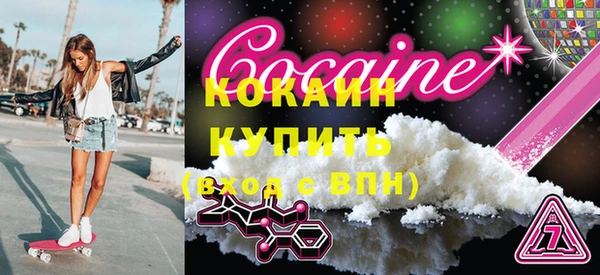 индика Новодвинск