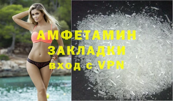 индика Новодвинск