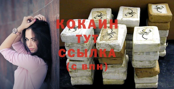 прущие грибы Новозыбков