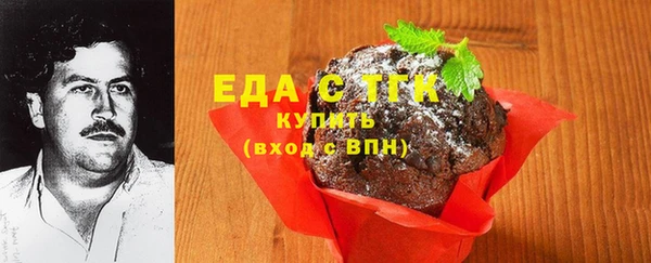 индика Новодвинск