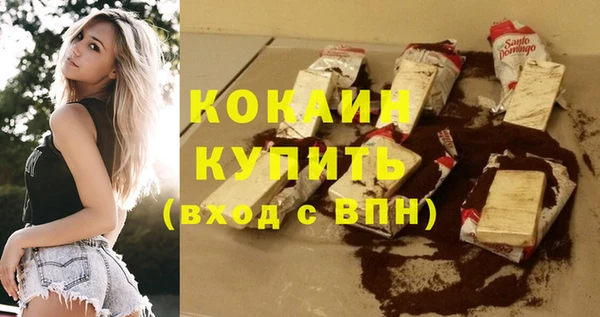 прущие грибы Новозыбков