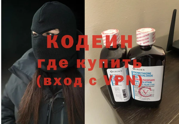 индика Новодвинск