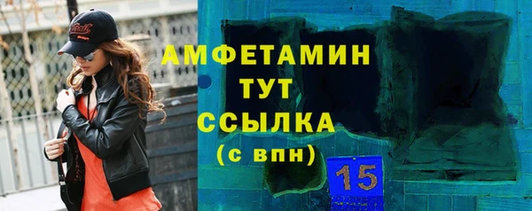 индика Новодвинск