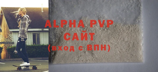 прущие грибы Новозыбков