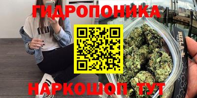 сатива Кимры