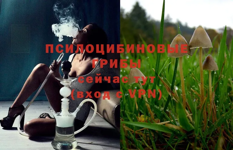 Псилоцибиновые грибы Magic Shrooms  МЕГА как войти  Люберцы 