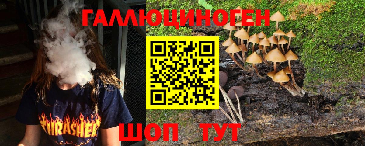 Псилоцибиновые грибы Psilocybe  Вход с VPN  Люберцы 