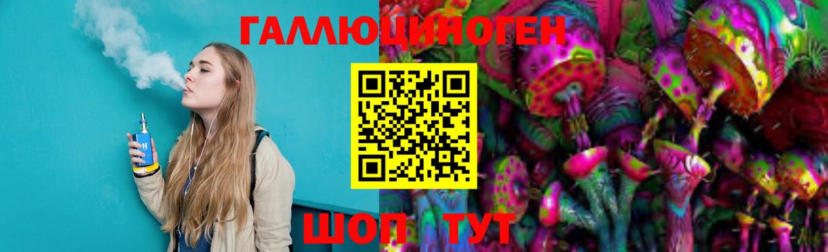 Галлюциногенные грибы Psilocybine cubensis Люберцы